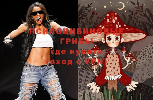 первитин Каменка